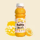 Full'iz mangue passion